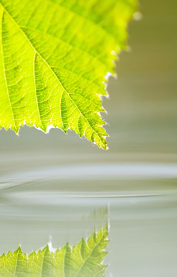 Energetica della Depurazione