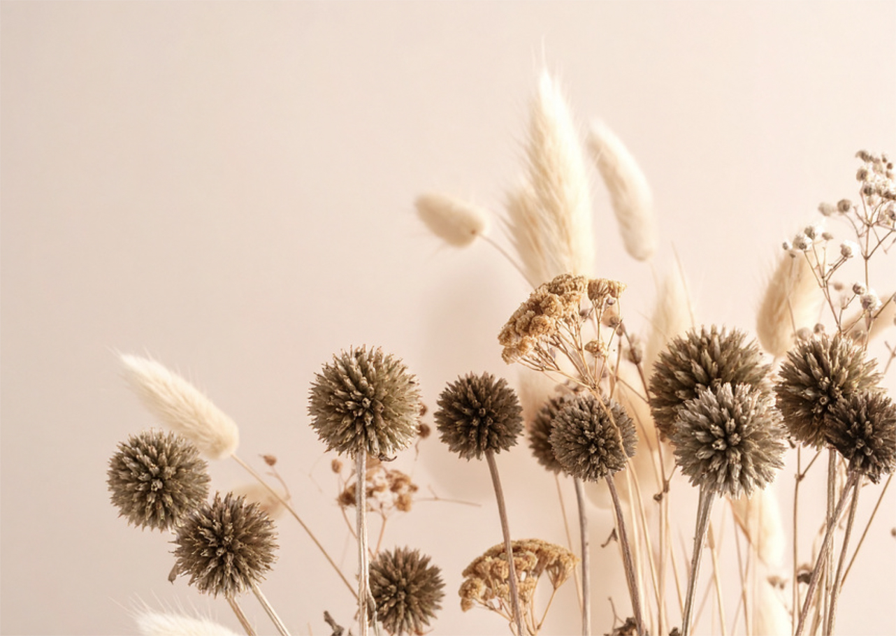 Salotto del benessere naturale