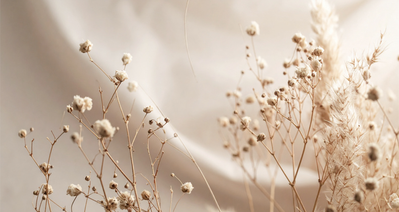 Salotto del benessere naturale