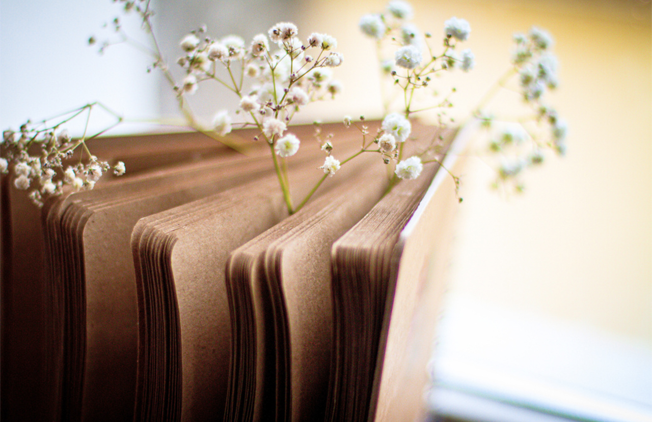 Salotto del benessere naturale